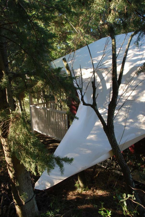 La Locanda Del Barbagianni Santa Luce Dış mekan fotoğraf